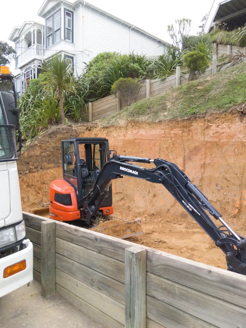 Mt Vic Project Image 3